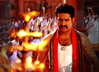 NTR Dammu Exclusive Stills